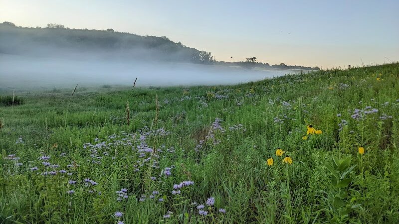 Belwin Conservancy: Stagecoach Prairie - Afton, MN