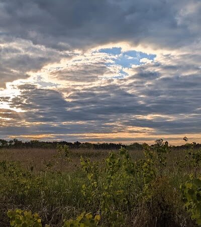 Belwin Conservancy: Stagecoach Prairie - Afton, MN