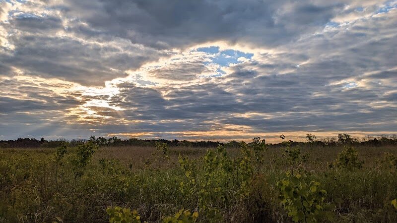 Belwin Conservancy: Stagecoach Prairie - Afton, MN