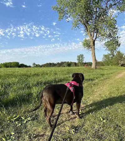 Belwin Conservancy: Stagecoach Prairie - Afton, MN