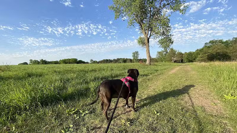 Belwin Conservancy: Stagecoach Prairie - Afton, MN