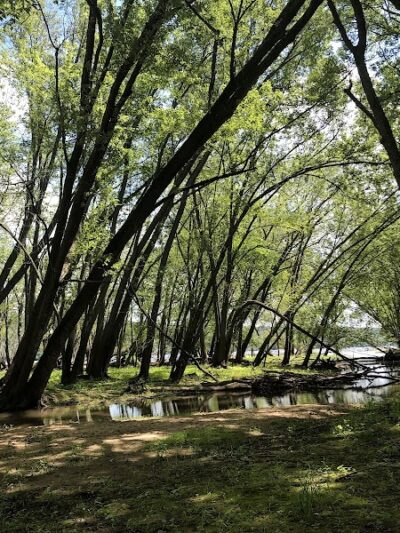 Afton State Park Dock and Picnic Area - Afton, MN