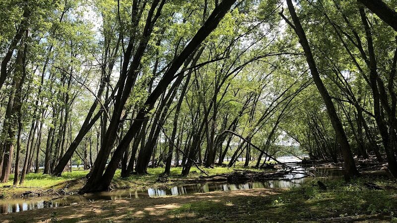 Afton State Park Dock and Picnic Area - Afton, MN
