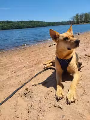 Afton State Park Dock and Picnic Area - Afton, MN