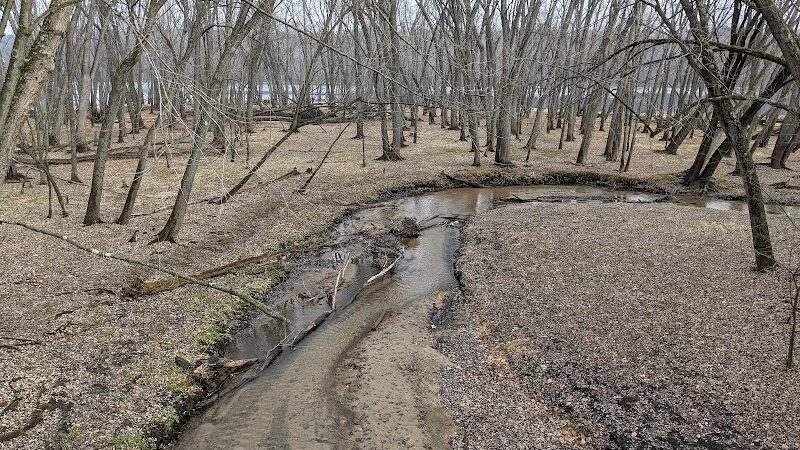 Afton State Park Dock and Picnic Area - Afton, MN