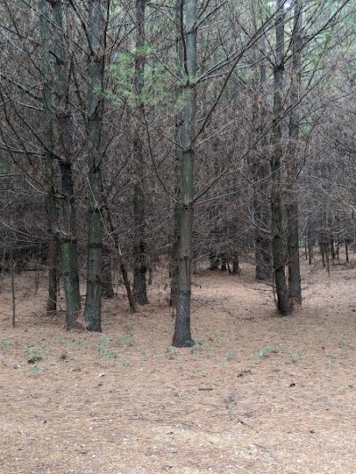 Afton State Park Dock and Picnic Area - Afton, MN