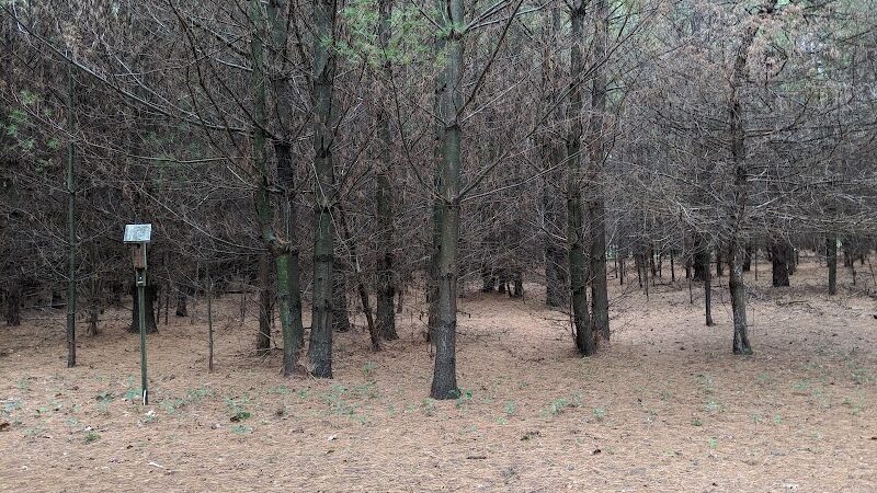 Afton State Park Dock and Picnic Area - Afton, MN