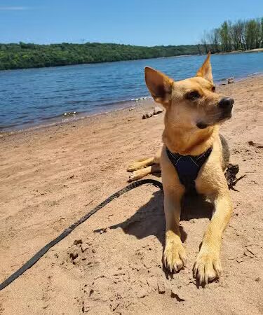 Afton State Park Dock and Picnic Area - Afton, MN