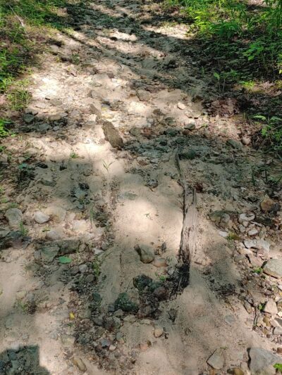 Steamboat Park - Afton, MN