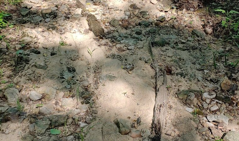 Steamboat Park - Afton, MN