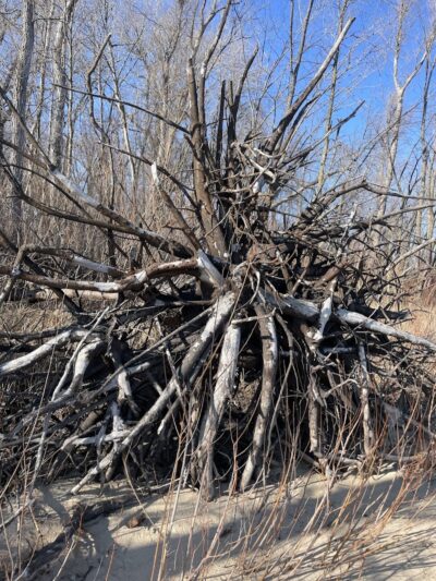 Steamboat Park - Afton, MN