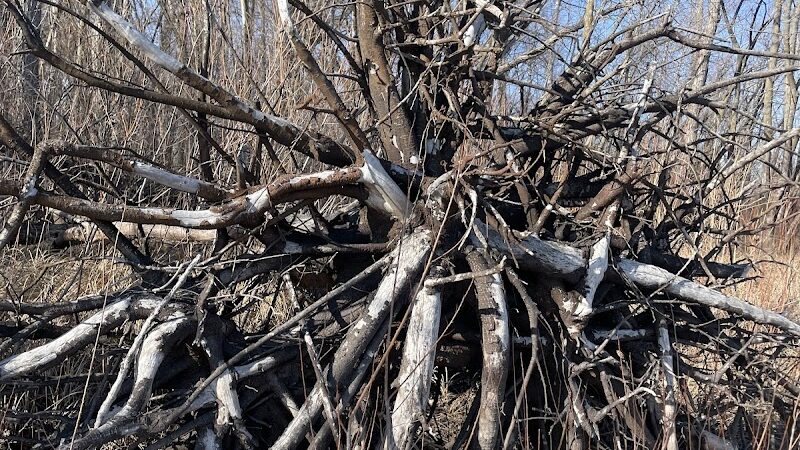 Steamboat Park - Afton, MN