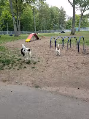 Agawam Dog Park - Agawam, MA