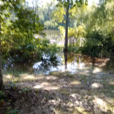 Boyd Pond Park - Aiken, SC