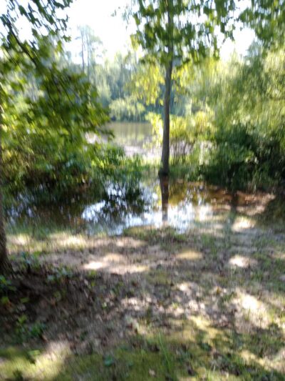 Boyd Pond Park - Aiken, SC