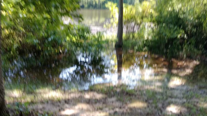 Boyd Pond Park - Aiken, SC