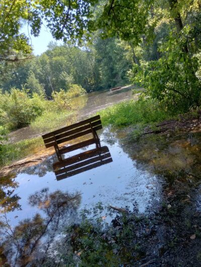 Boyd Pond Park - Aiken, SC