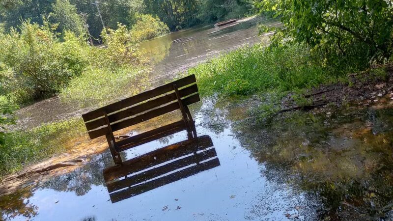 Boyd Pond Park - Aiken, SC