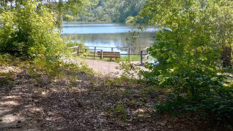 Boyd Pond Park - Aiken, SC