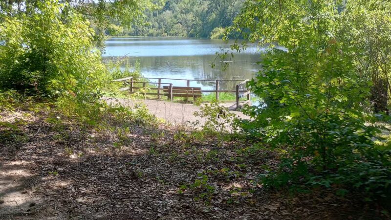 Boyd Pond Park - Aiken, SC