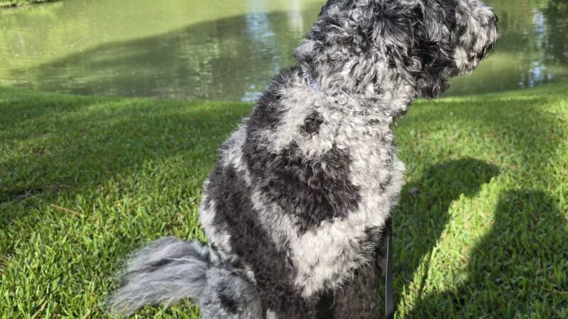 Hopelands Gardens - Aiken, SC