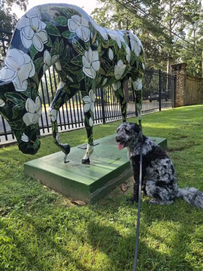 Hopelands Gardens - Aiken, SC