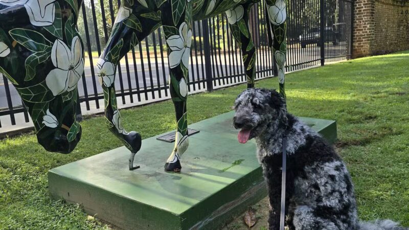 Hopelands Gardens - Aiken, SC