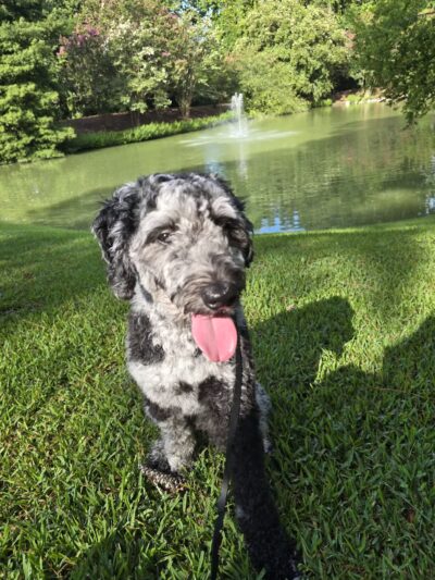 Hopelands Gardens - Aiken, SC