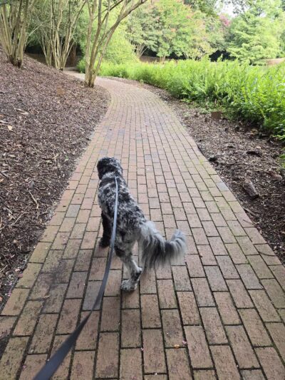 Hopelands Gardens - Aiken, SC