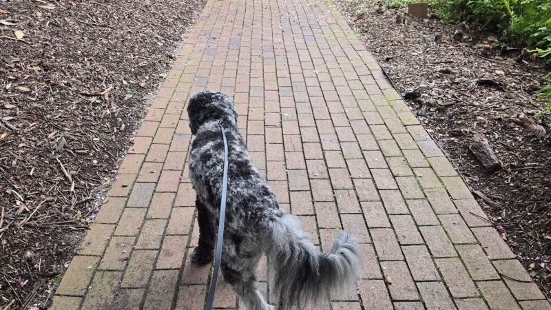 Hopelands Gardens - Aiken, SC