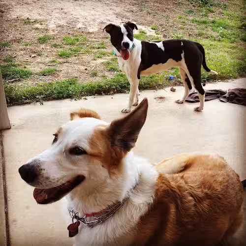 Aiken County Animal Shelter - Aiken, SC