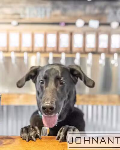 Alley Downtown Taproom - Aiken, SC