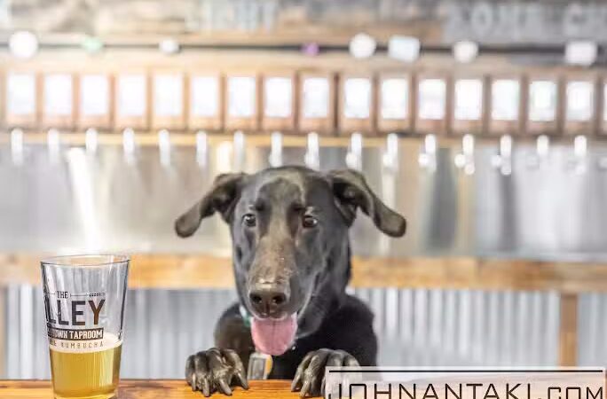 Alley Downtown Taproom - Aiken, SC