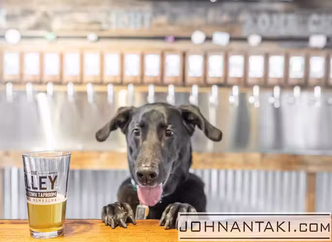 Alley Downtown Taproom - Aiken, SC