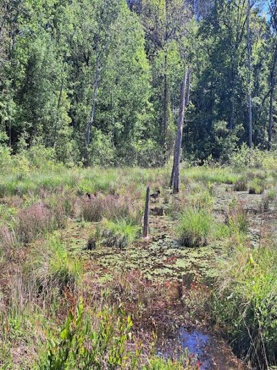 Boyd Pond Bike Trail Parking Lot - Aiken, SC