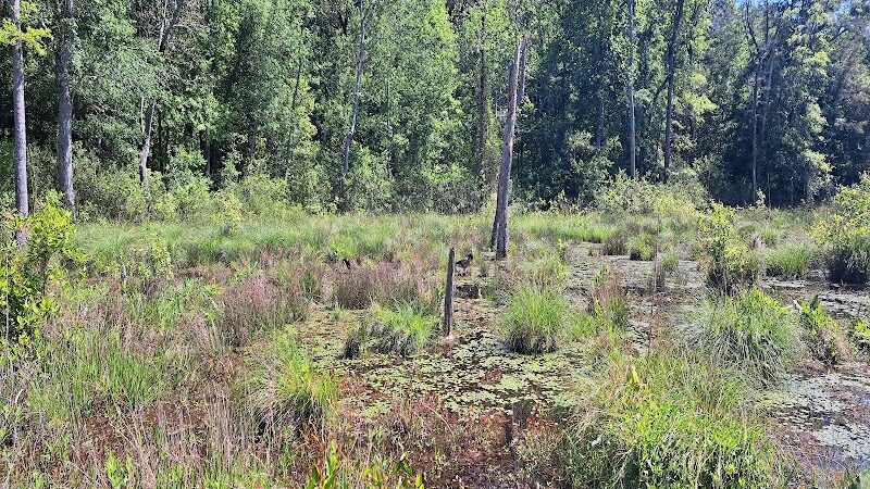 Boyd Pond Bike Trail Parking Lot - Aiken, SC