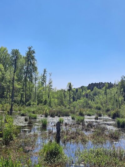 Boyd Pond Bike Trail Parking Lot - Aiken, SC