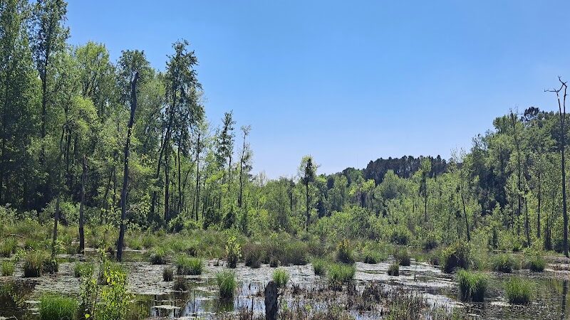 Boyd Pond Bike Trail Parking Lot - Aiken, SC