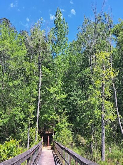 Boyd Pond Bike Trail Parking Lot - Aiken, SC