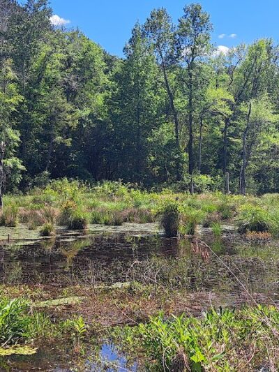 Boyd Pond Bike Trail Parking Lot - Aiken, SC
