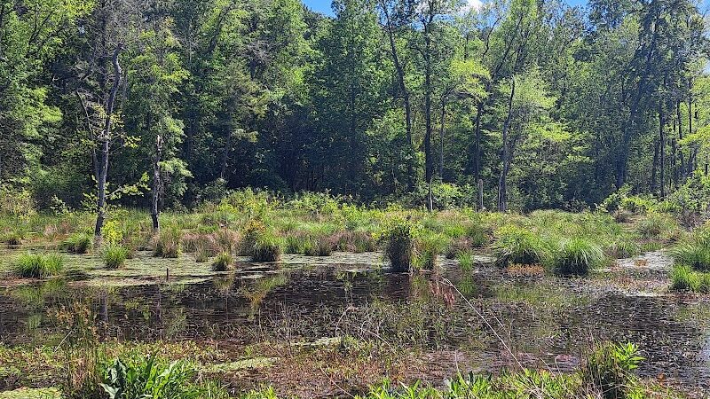 Boyd Pond Bike Trail Parking Lot - Aiken, SC