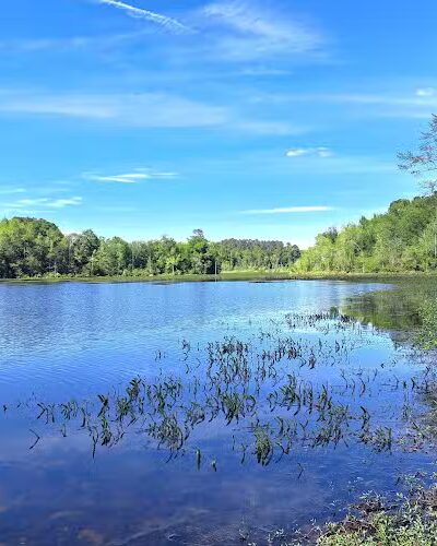 Boyd Pond Bike Trail Parking Lot - Aiken, SC