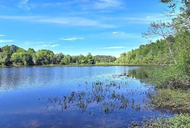 Boyd Pond Bike Trail Parking Lot - Aiken, SC