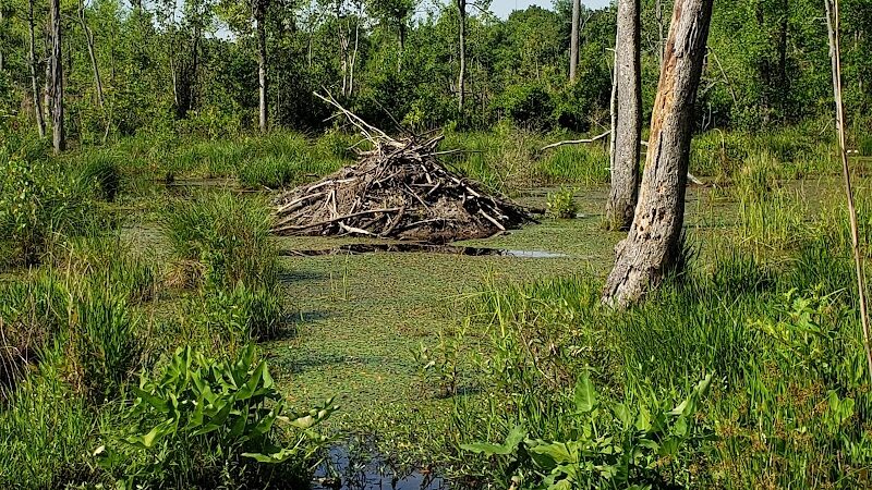 Boyd Pond Park - Aiken, SC
