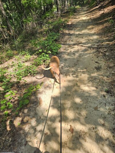 Boyd Pond Park - Aiken, SC