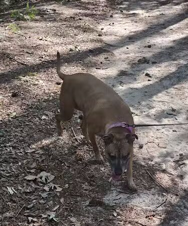 Boyd Pond Park - Aiken, SC