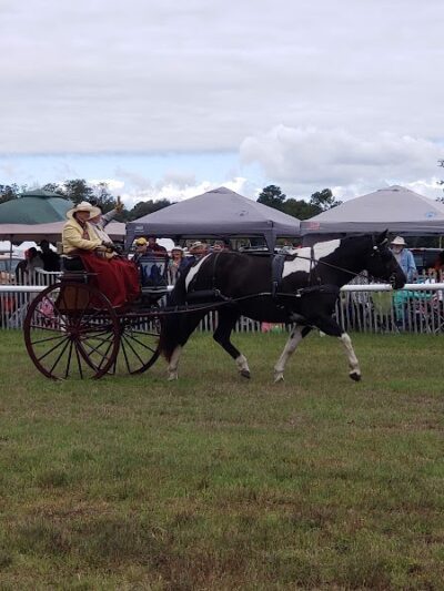Bruce's Field at Aiken Horse Park - Aiken, SC