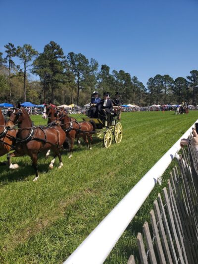 Bruce's Field at Aiken Horse Park - Aiken, SC
