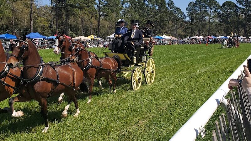 Bruce's Field at Aiken Horse Park - Aiken, SC