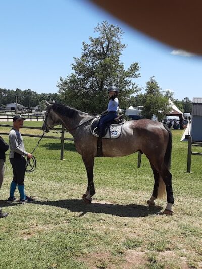 Bruce's Field at Aiken Horse Park - Aiken, SC